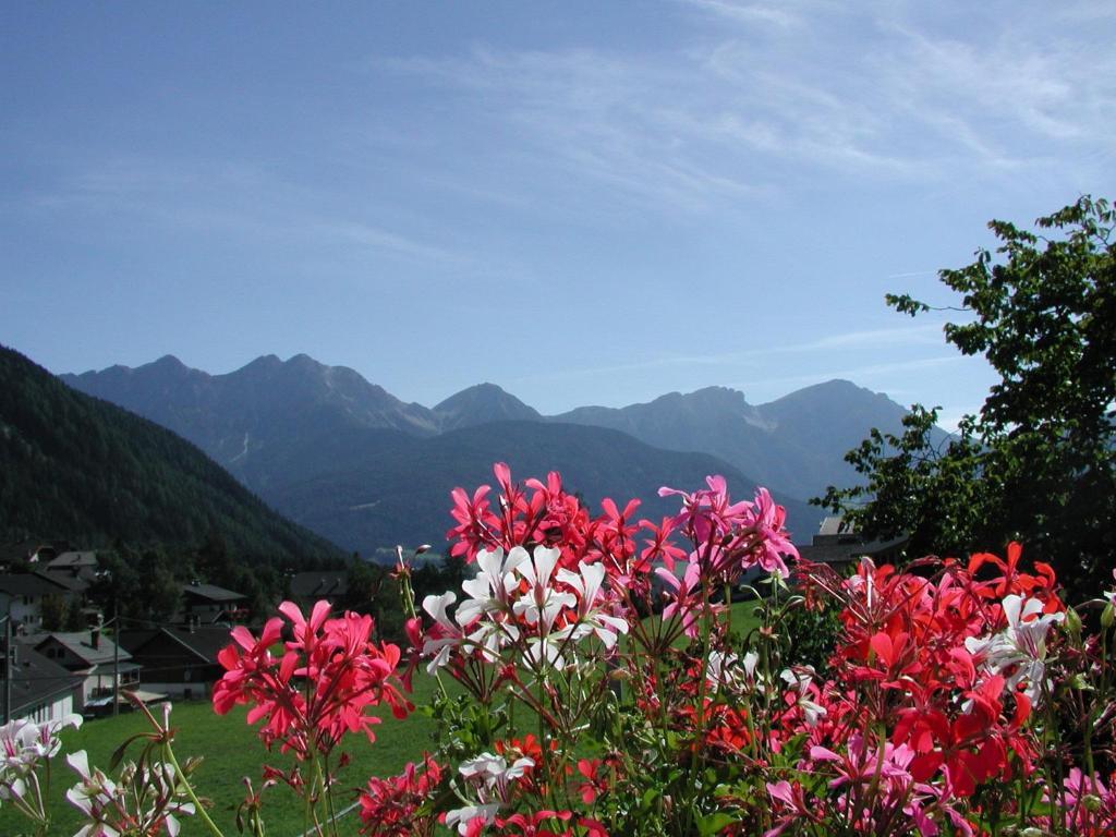 Gasthof Lechner Rasun di Sopra Camera foto